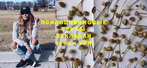 а пвп мука Корсаков