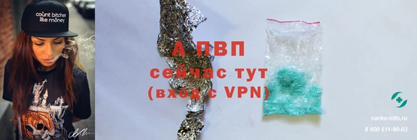 Альфа ПВП Коряжма