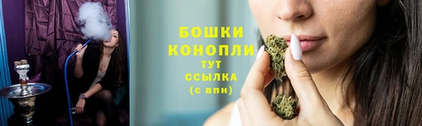 мдпв Каменногорск
