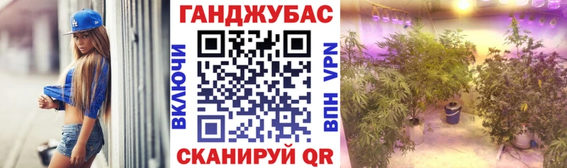 KRAKEN зеркало  купить наркоту  Макаров  Бошки марихуана марихуана 